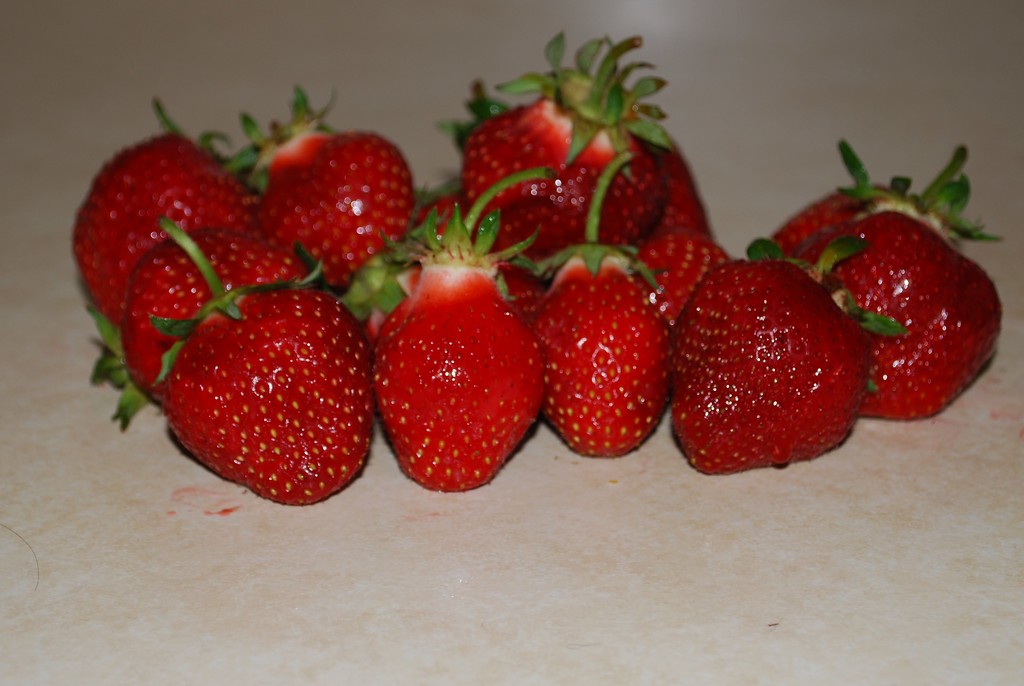 fresh farm strawberries by stillmoments33