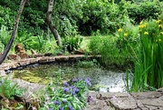 13th Jun 2021 - Scenic Pond