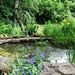 Scenic Pond by allsop