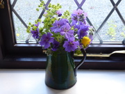 13th Jun 2021 - Blue geranium with ladies mantle and welsh poppy