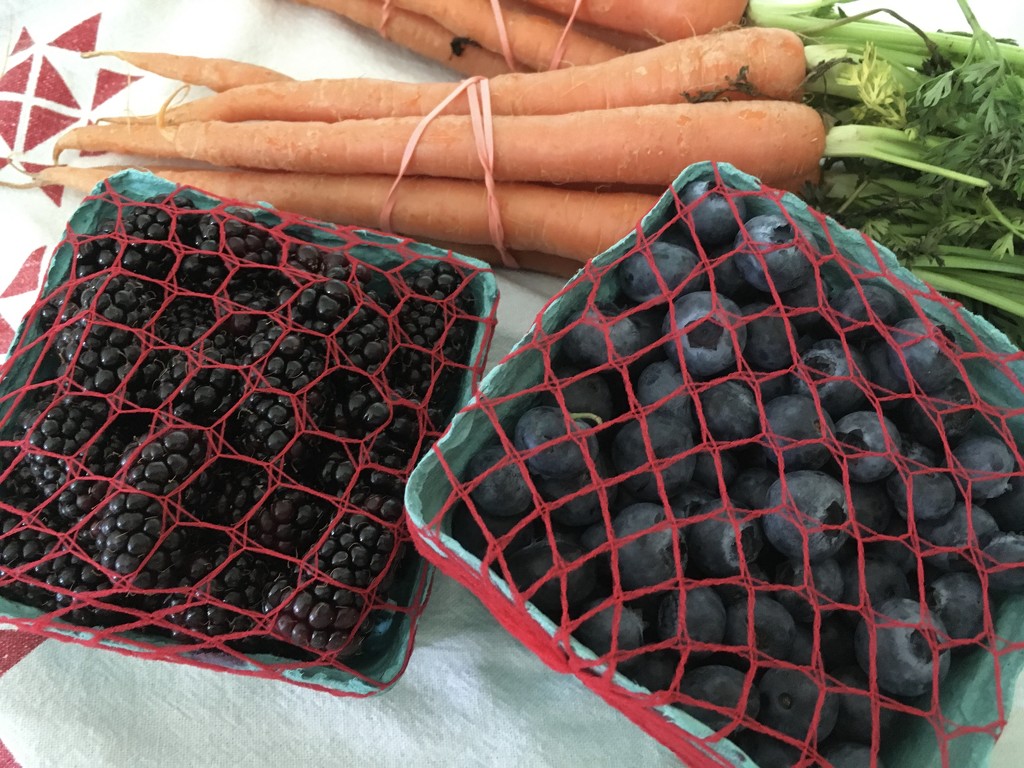 hairnets for berries by wiesnerbeth