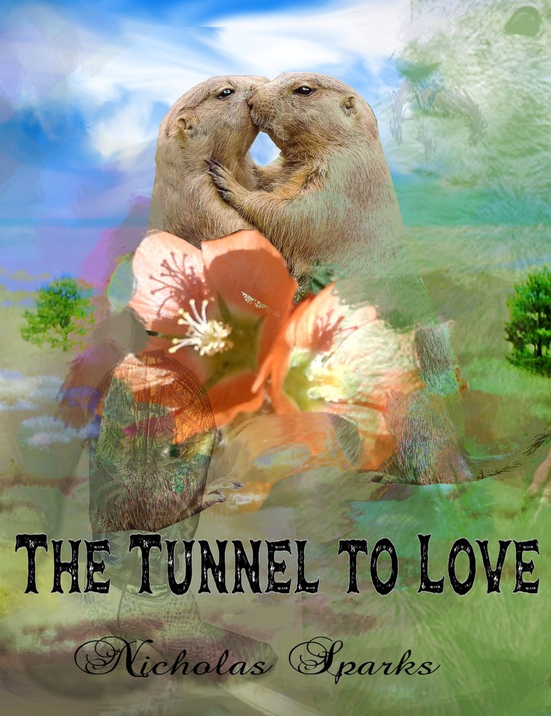 The Tunnel to Love by dreary