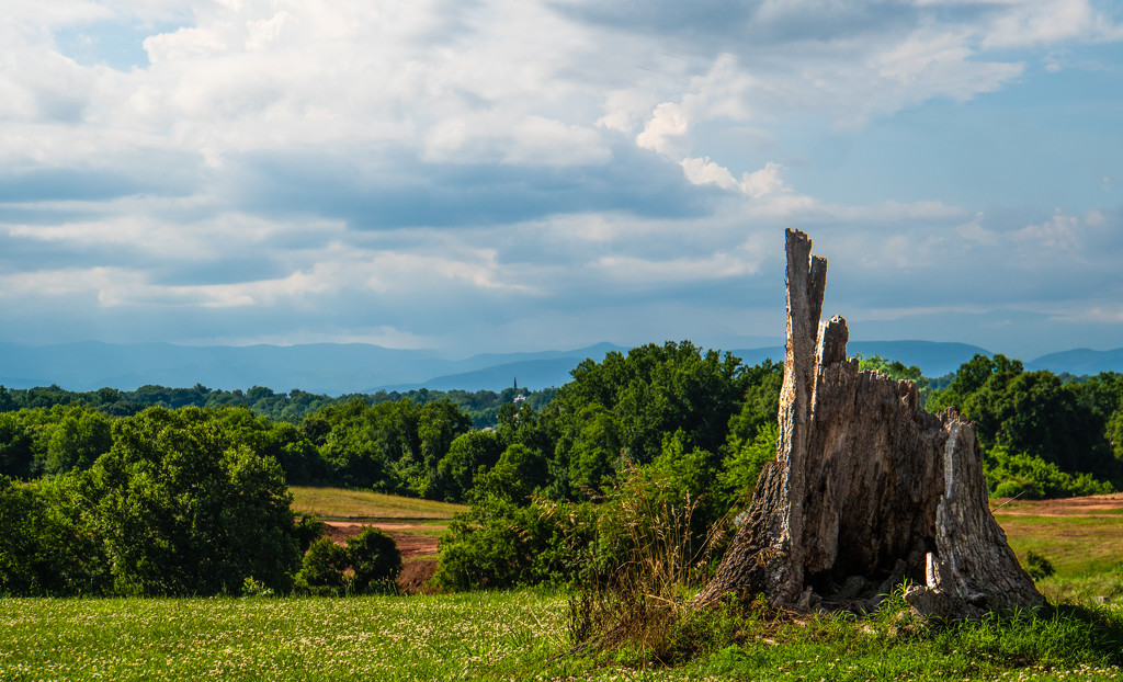 Summer afternoon view of the Blue Ridge Mountains by randystreat