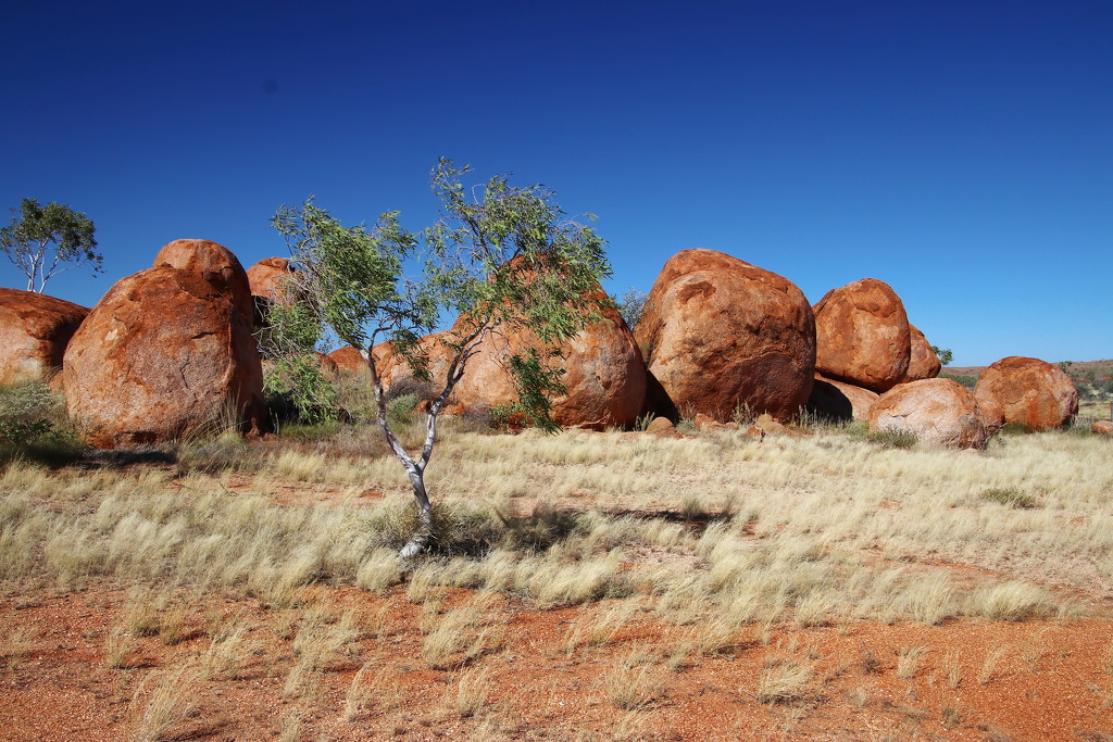 Day 5 - Devils Marbles 2 by terryliv