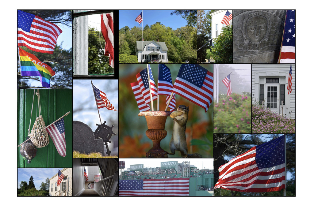 Flag Day in the United States by berelaxed