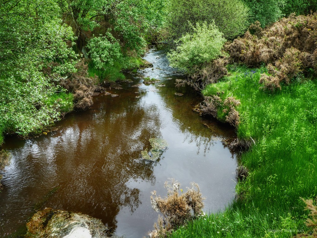 Moorland stream by craftymeg