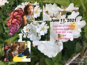 13th Jun 2021 - Last Day of First Grace