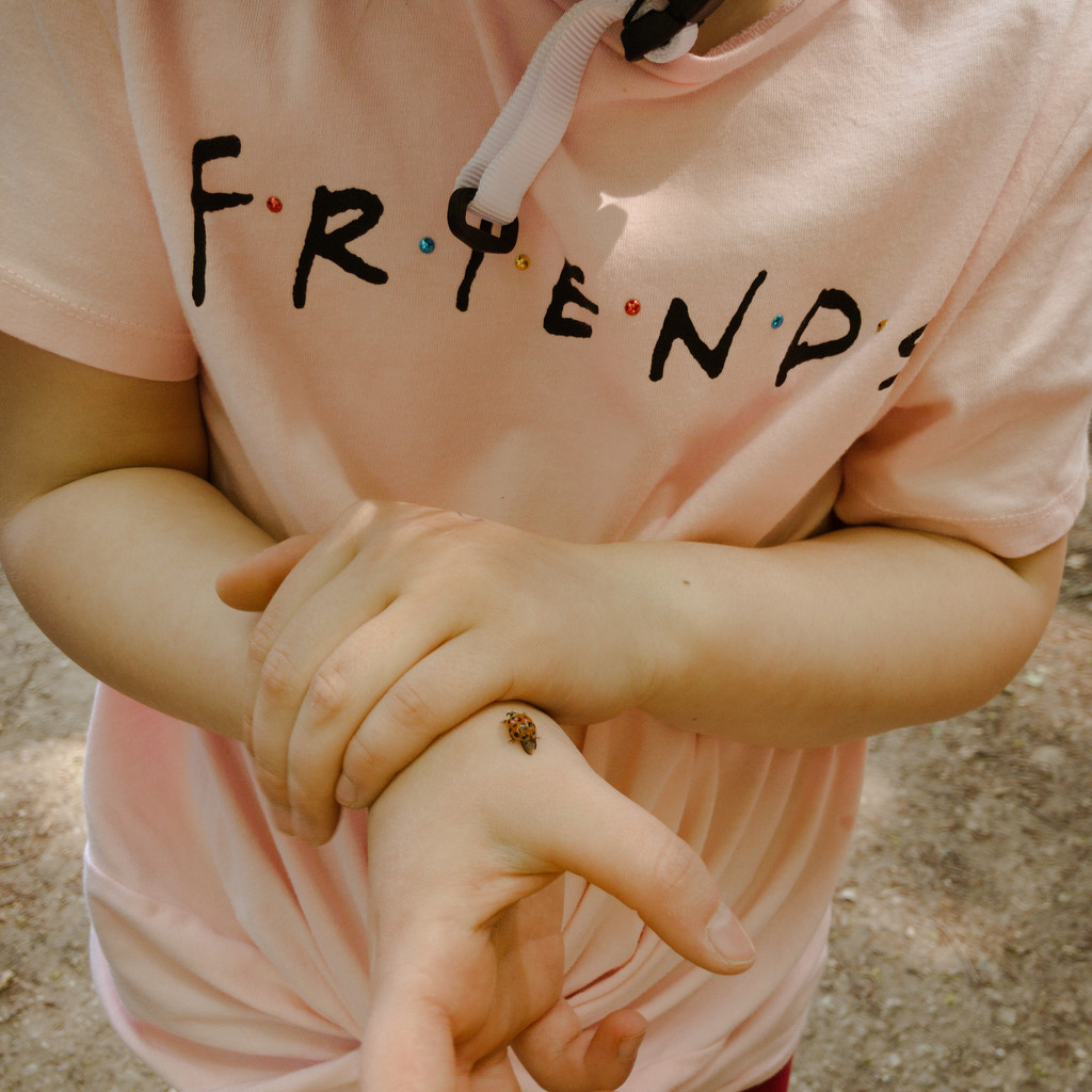 Friends by pingu