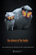 13th Jan 2011 - the silence