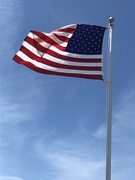 14th Jun 2021 - Flag Day is the US Army's birthday!