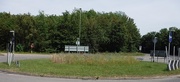 15th Jun 2021 - A roundabout view of wild flowers