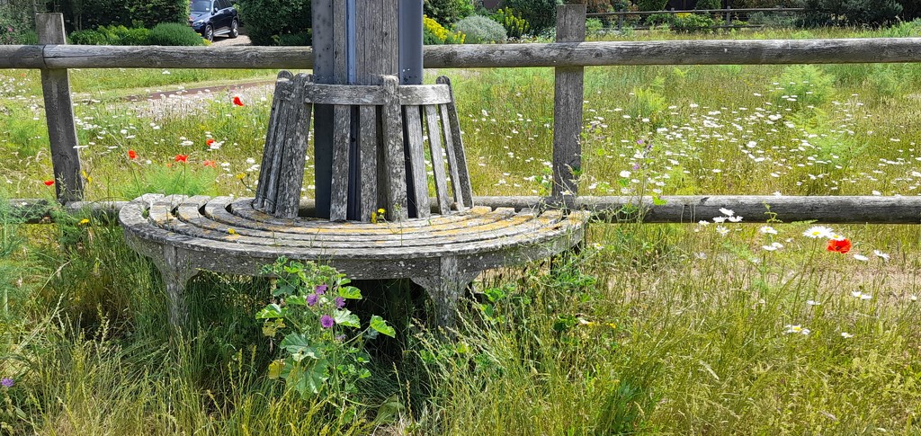 A country seat by judithdeacon