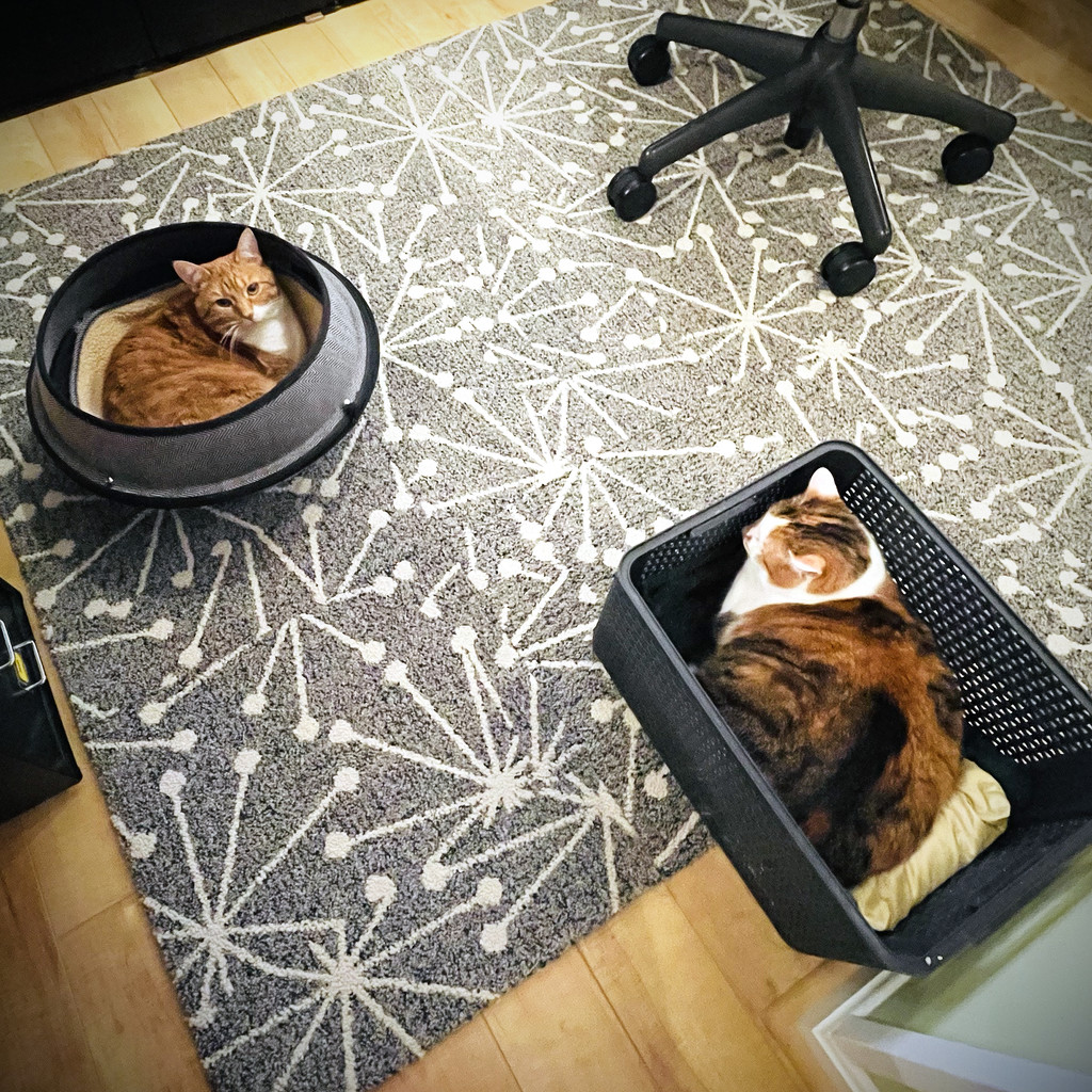 My Office Supervisors by yogiw