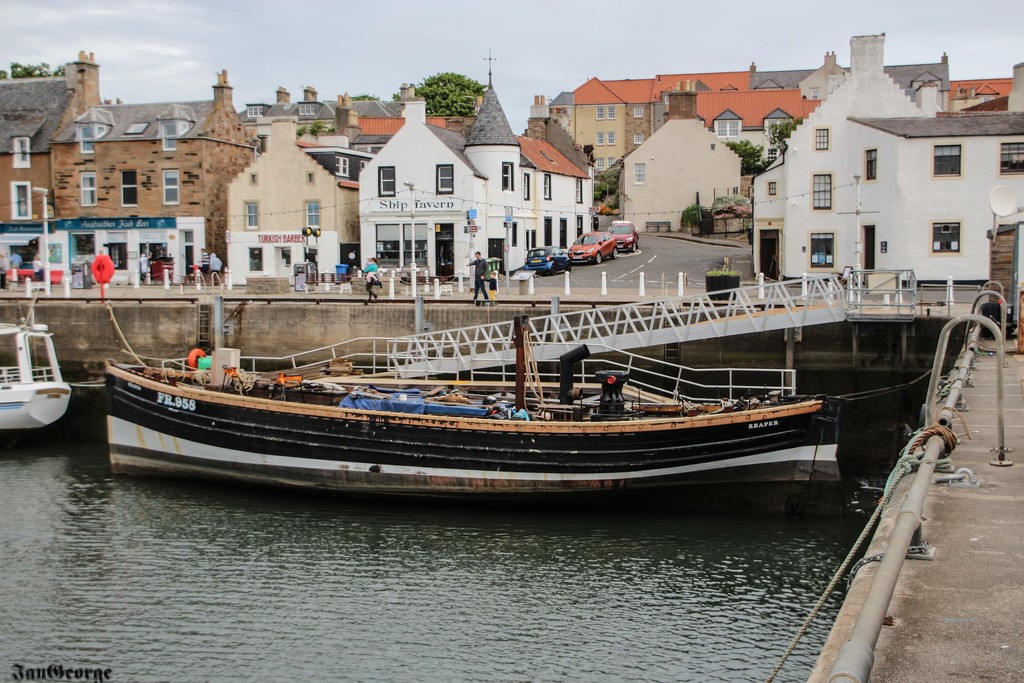 Reaper in Anstruther Harbour by nodrognai