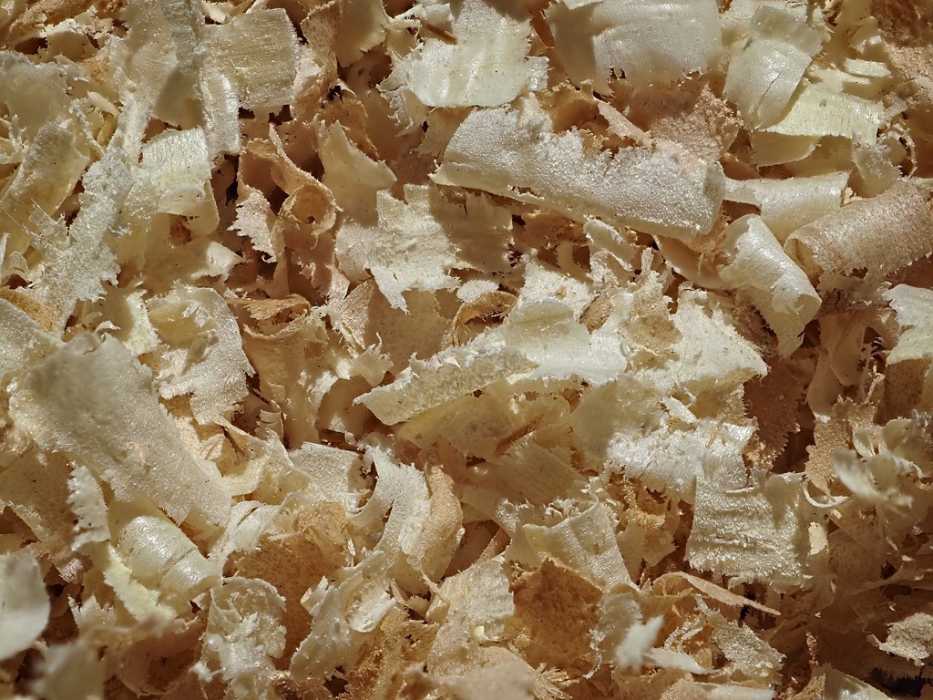 Small Cedar Shavings by mitchell304