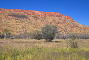 7th May 2021 - Day 7 - MacDonnell Ranges at Alice Springs