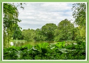 17th Jun 2021 - The Lake,Kelmarsh Hall And Gardens