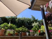 17th Jun 2021 - The view from my deckchair
