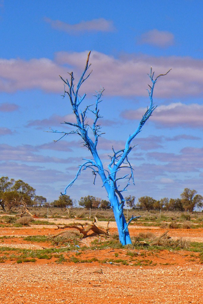 Blue Tree by leggzy