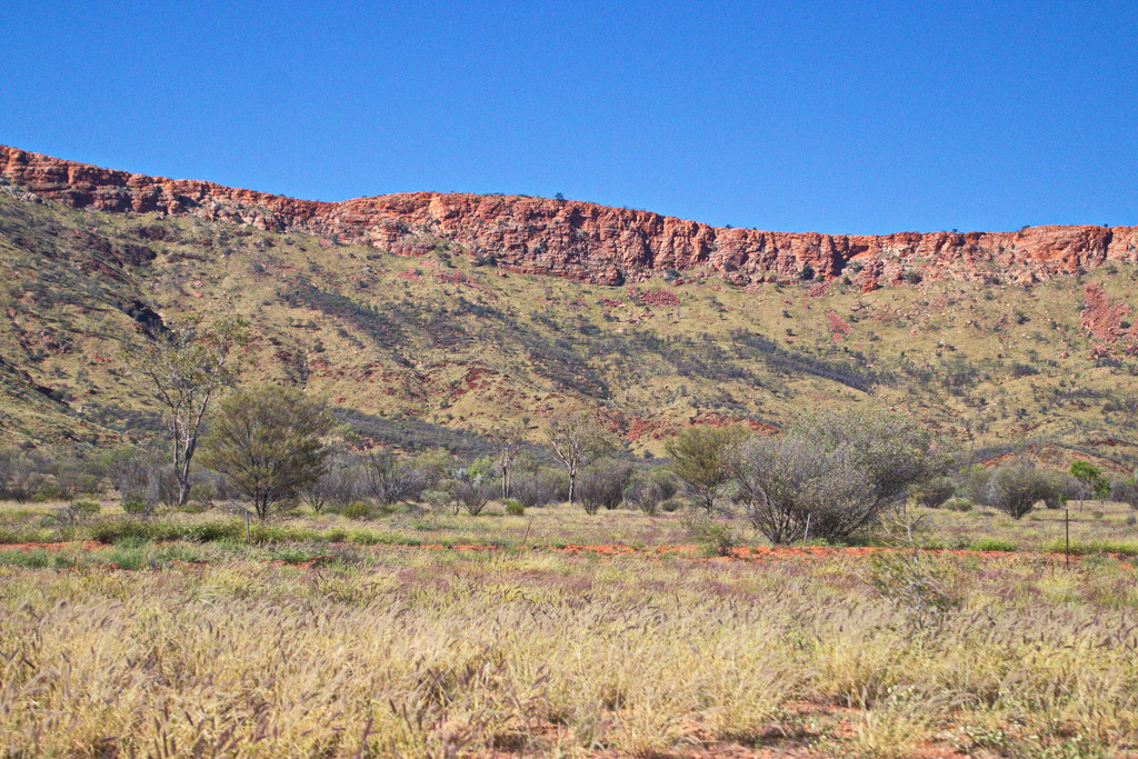 Day 7 - MacDonnell Ranges from Larapinta Drive by terryliv