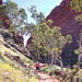 Day 7 - Walking into Simpsons Gap by terryliv
