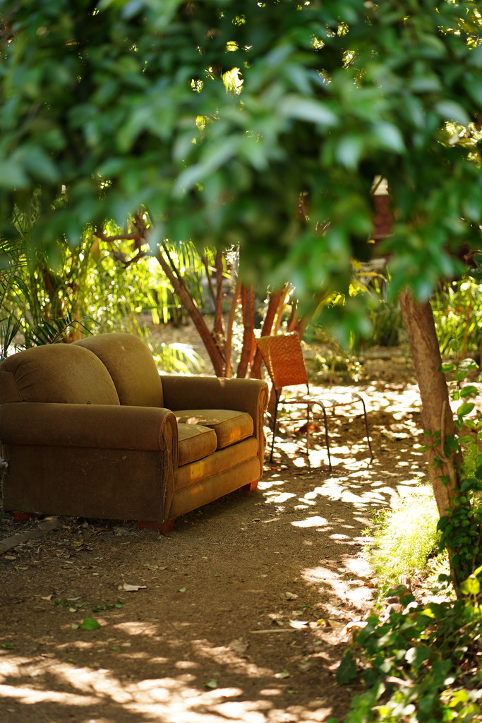 Sofa in yard by acolyte