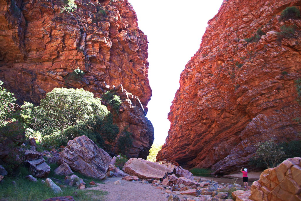 Day 7:  Simpsons Gap - Photographer by terryliv