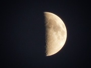 17th Jun 2021 - 6-17-21 moon shot
