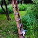 Short Gnome climbing a tall ladder (for him)! by allsop