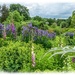 Another View,The Walled Garden,Kelmarsh Hall by carolmw