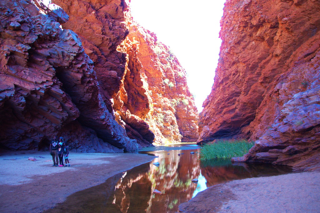 Day 7:  Simpsons Gap - Tourists by terryliv