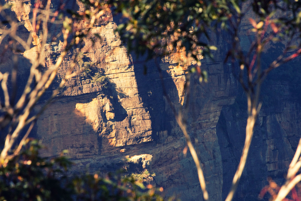 the face on the cliffs by annied