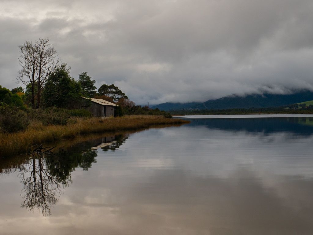 Bank of the Huon River by gosia