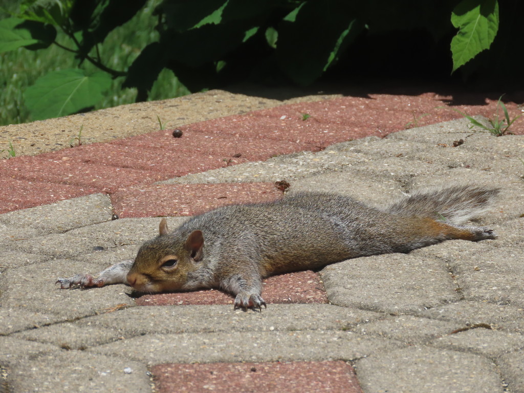 Soaking in the sun by kimhearn