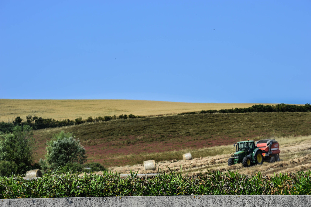Tractoring by caterina