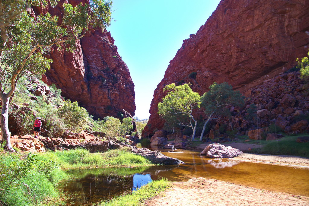 Day 7:  Simpsons Gap - Walking Out by terryliv