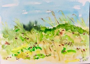 19th Jun 2021 - Watercolour painting by my daughter Jane. Coastal flowers.