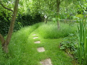 20th Jun 2021 - Along the garden path into the orchard