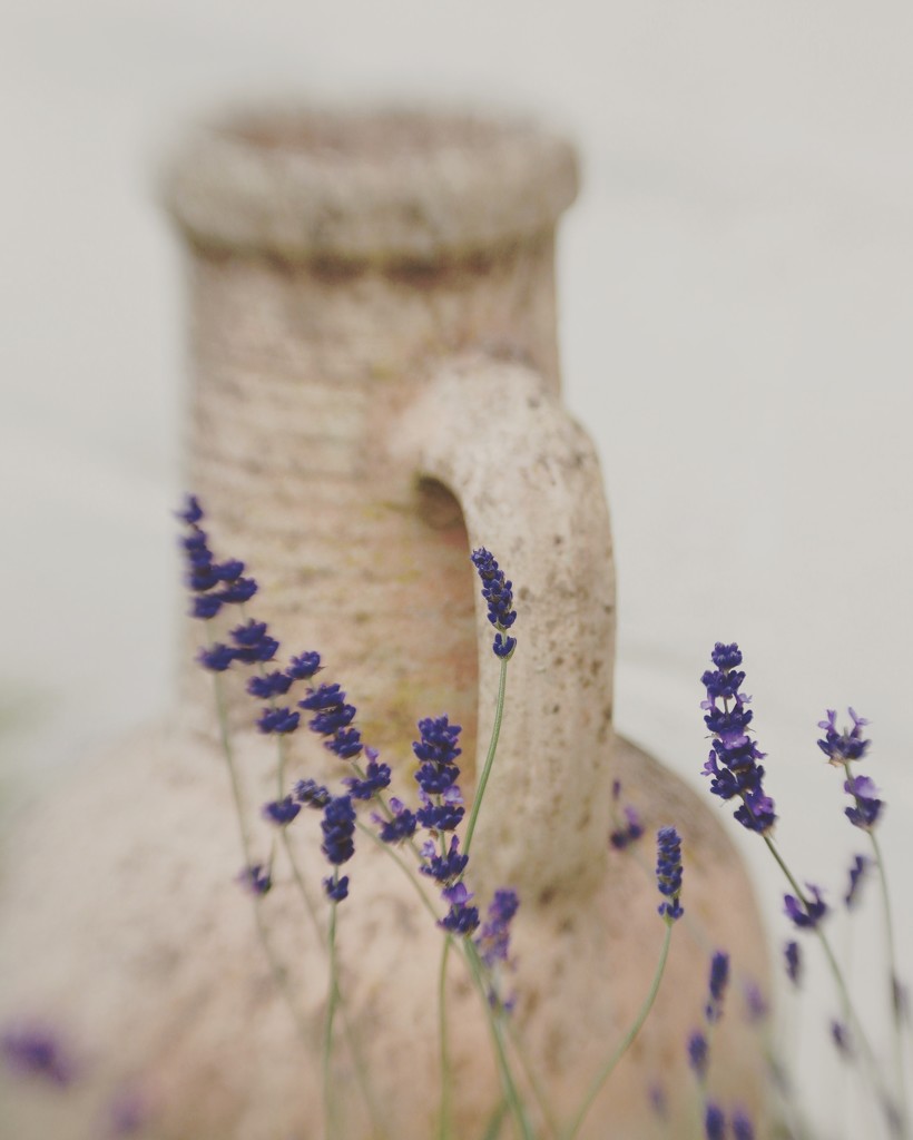 Lavender and Urn by motherjane