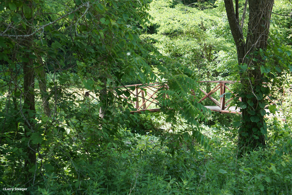 Bridge along the walking path by larrysphotos