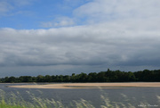 18th Jun 2021 - the Loire from the car 