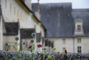 18th Jun 2021 - Abbaye de Fontevraud 
