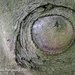 crocodile eye by nigelrogers