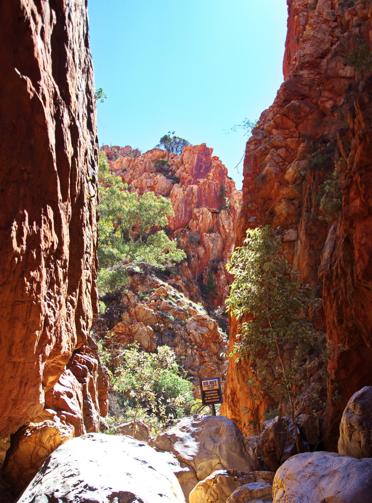 Day 7: Standley Chasm - At the End by terryliv