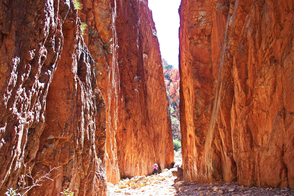 Day 7: Standley Chasm - Angkerle Atwatye by terryliv