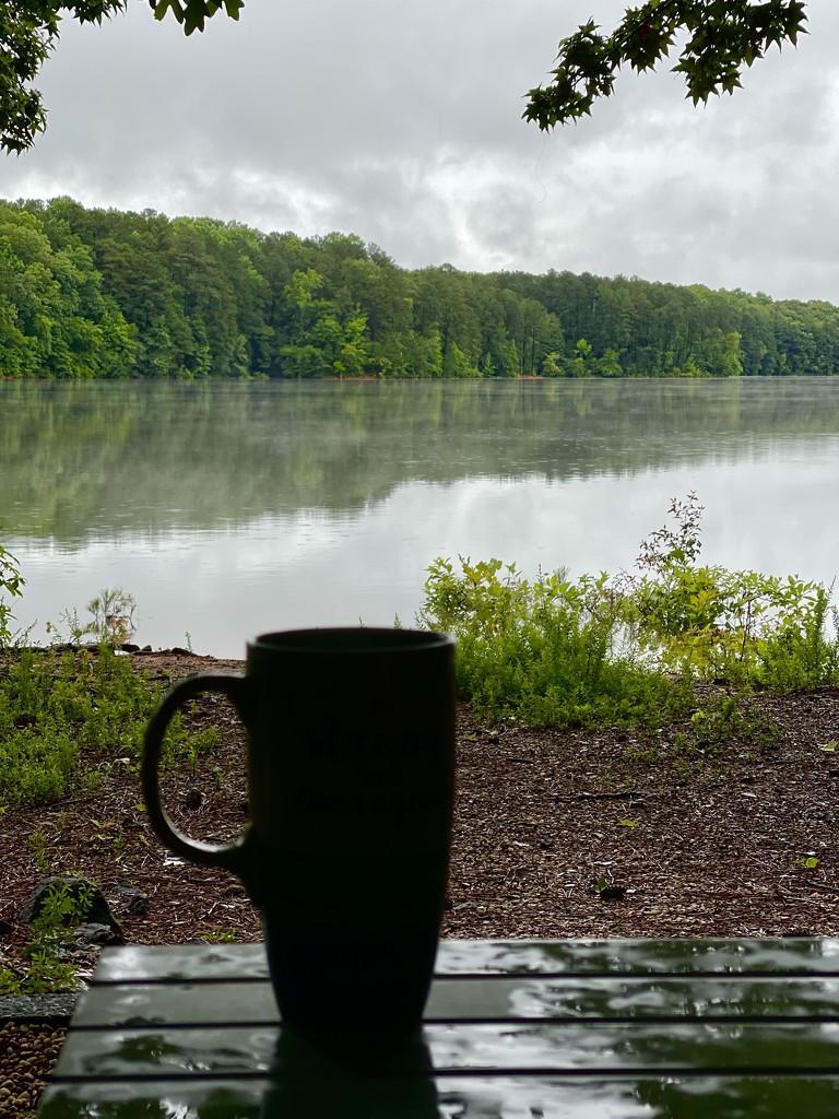 Morning Cup by k9photo