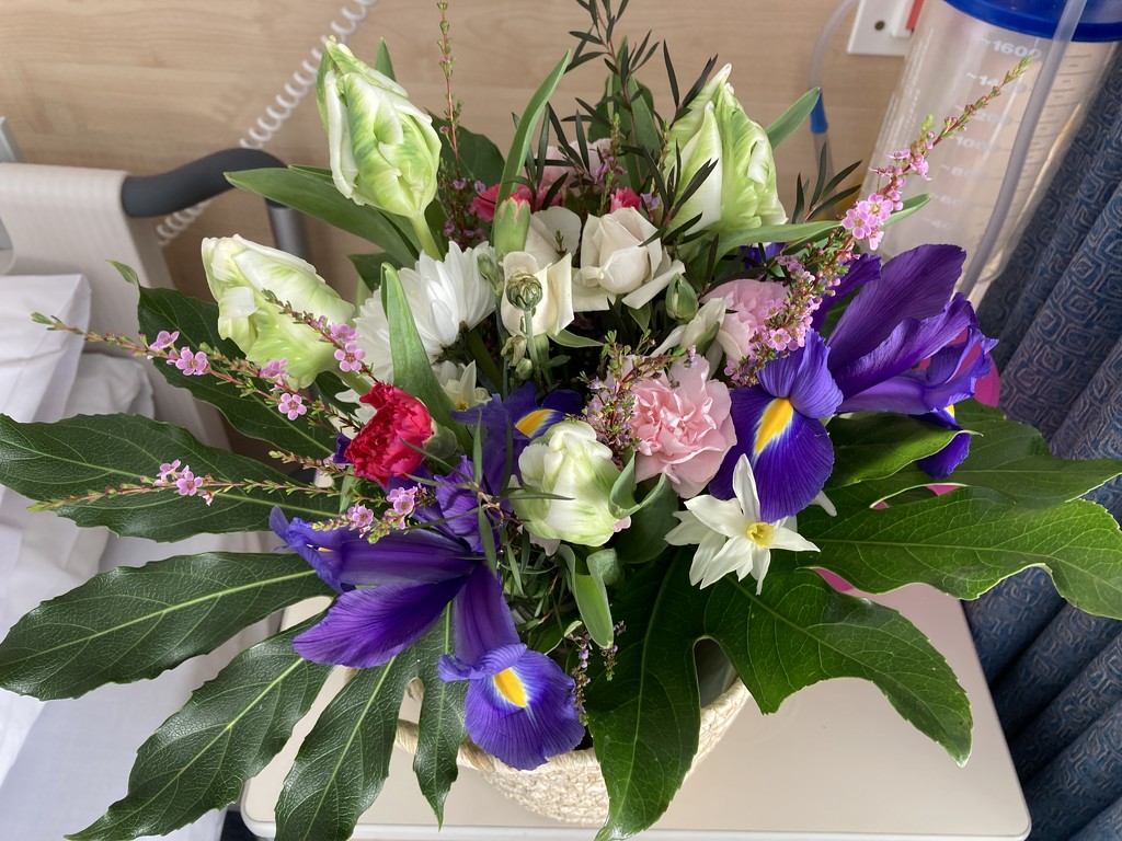 Flowers sent to Mum by one of her nieces and nephew she is doing well going back to theatre today for a skin graft that will reduce healing time significantly for her by Dawn