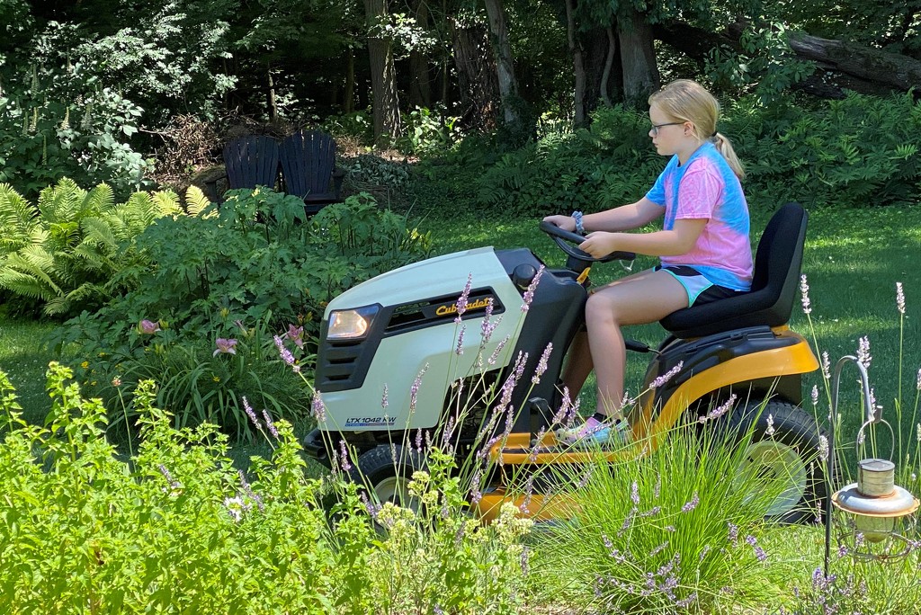 Teaching my granddaughter how to mow by tunia