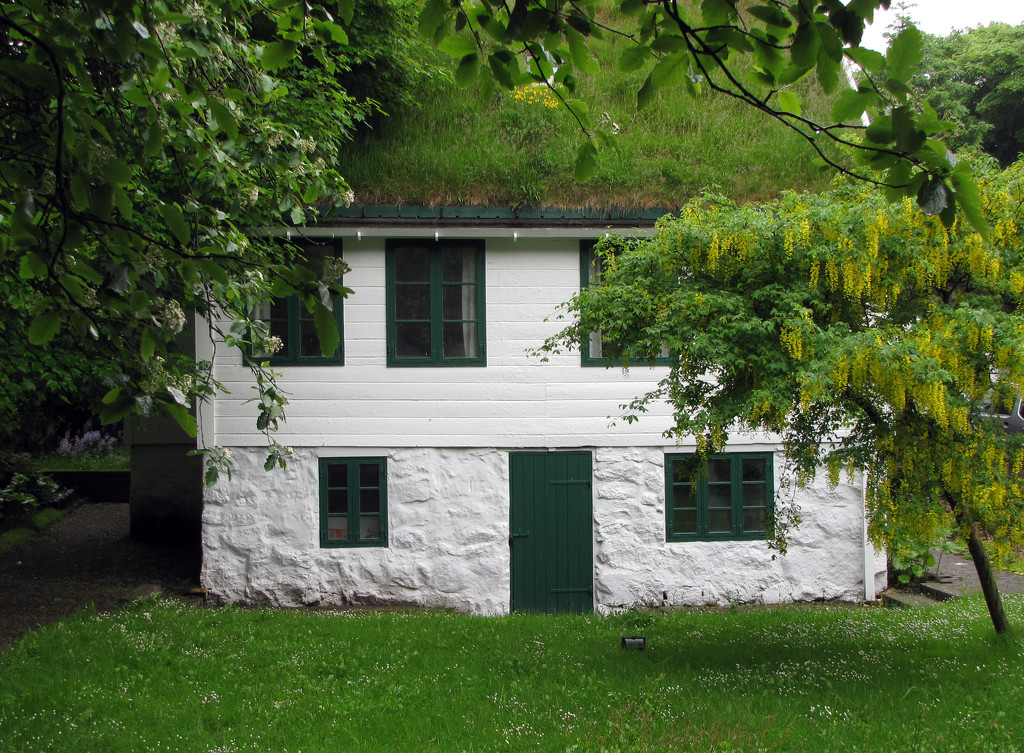 White house in green by okvalle