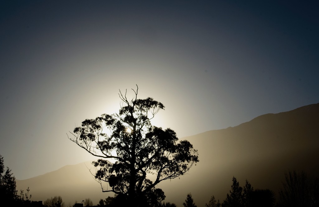 Silhouette  skyline by kiwinanna